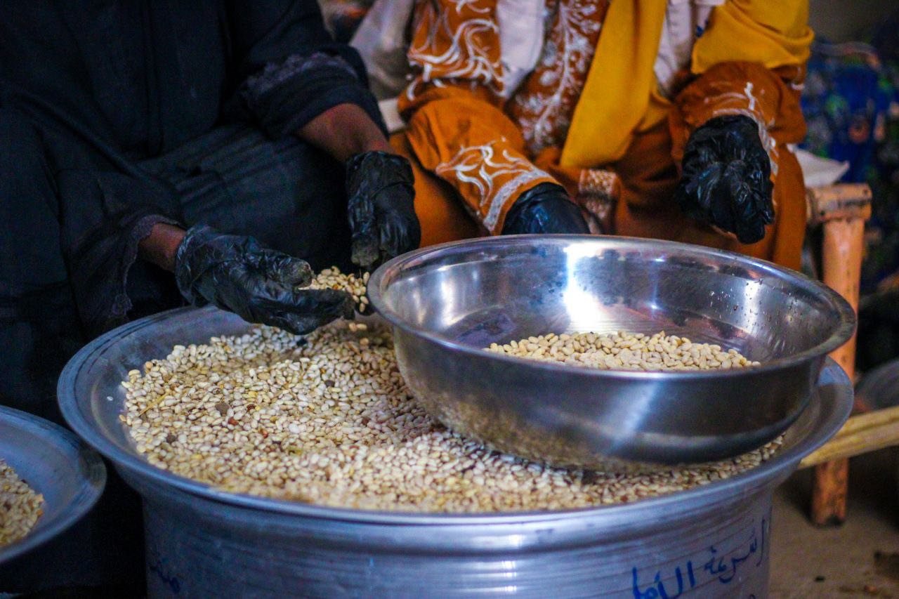 5859681868742510212-1